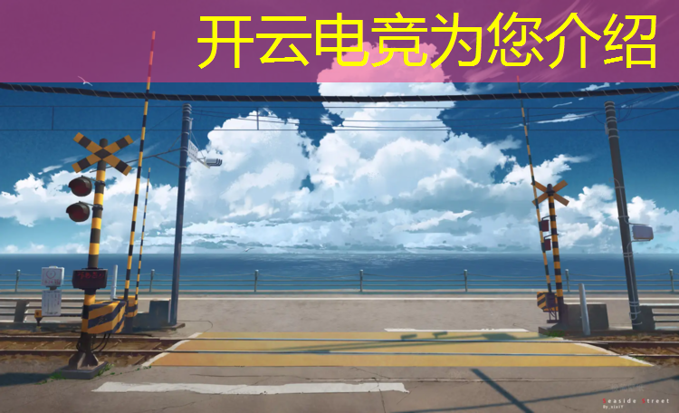 kaiyun·开云电竞为您介绍：如何进专业电竞战队工作